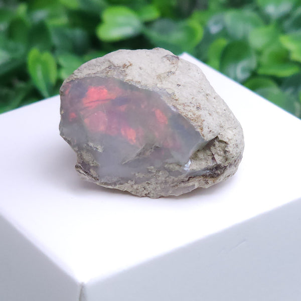 Opal Specimen (High Grade) - Red Flame - Welo/Ethopian - 7.99 grams