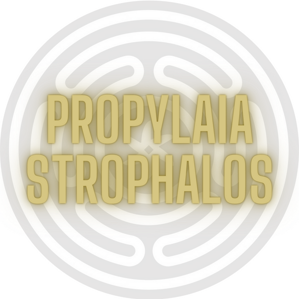 Propylaia Correspondence Resin Strophalos